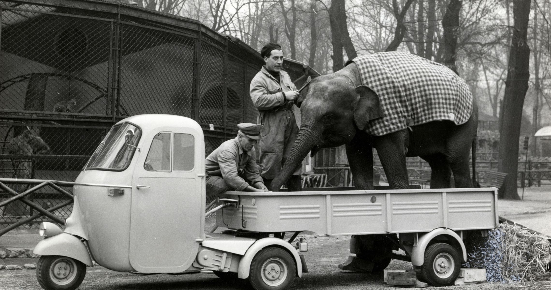 APE EINE GESCHICHTE DER ITALIENISCHEN EXZELLENZ, EIN WELTWEITER MYTHOS